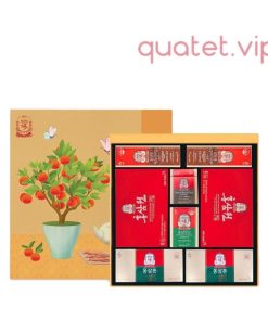Hộp Quà Xuân Cao Cấp KGC Cheong Kwan Jang THỌ TRƯỜNG XUÂN