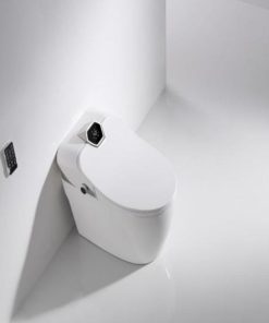 Bồn cầu thông minh có AI WJA-ZN 5861